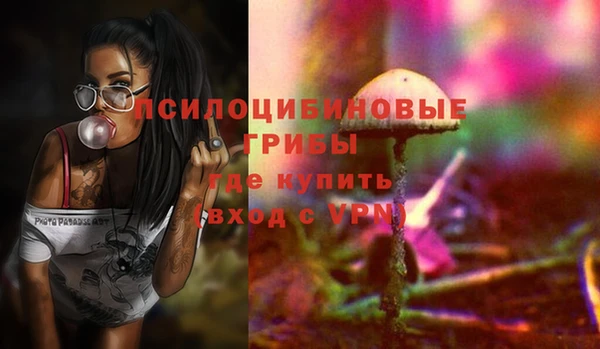 мет Белокуриха