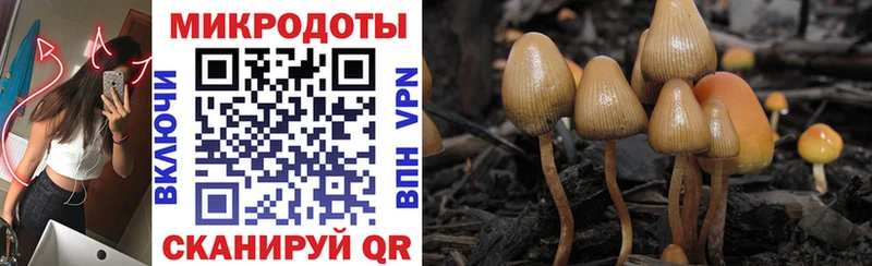 Галлюциногенные грибы MAGIC MUSHROOMS  Верхотурье 